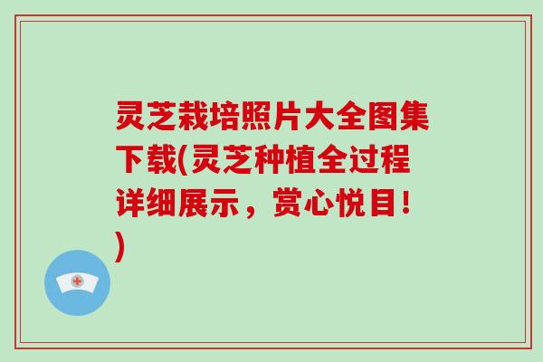 灵芝栽培照片大全图集下载(灵芝种植全过程详细展示，赏心悦目！)