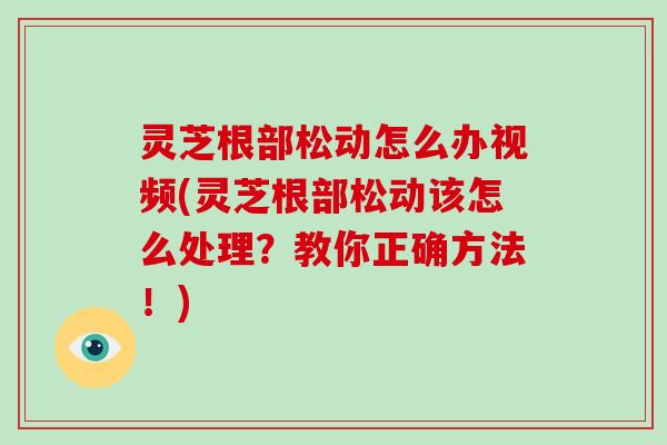 灵芝根部松动怎么办视频(灵芝根部松动该怎么处理？教你正确方法！)