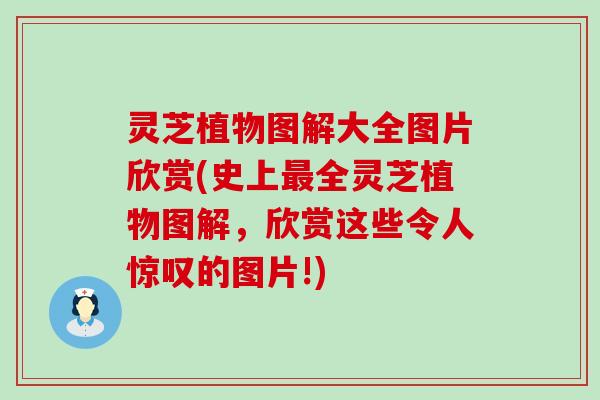 灵芝植物图解大全图片欣赏(史上全灵芝植物图解，欣赏这些令人惊叹的图片!)