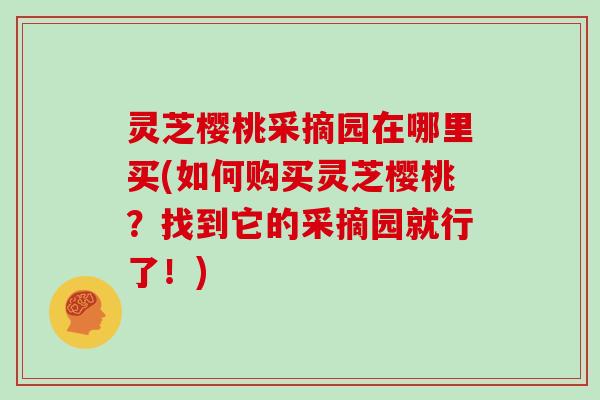 灵芝樱桃采摘园在哪里买(如何购买灵芝樱桃？找到它的采摘园就行了！)