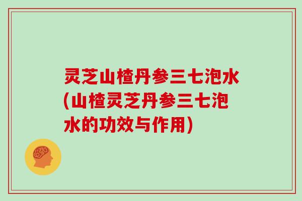 灵芝山楂丹参三七泡水(山楂灵芝丹参三七泡水的功效与作用)