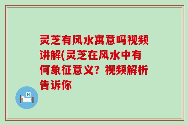 灵芝有风水寓意吗视频讲解(灵芝在风水中有何象征意义？视频解析告诉你