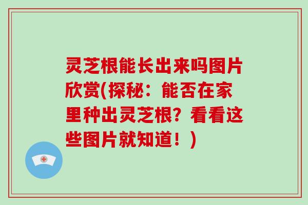 灵芝根能长出来吗图片欣赏(探秘：能否在家里种出灵芝根？看看这些图片就知道！)