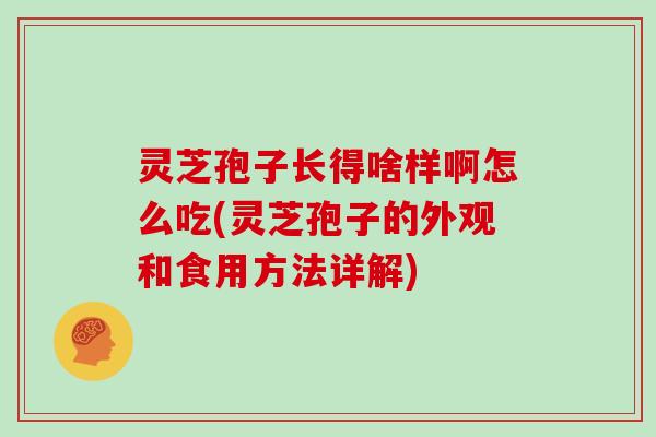 灵芝孢子长得啥样啊怎么吃(灵芝孢子的外观和食用方法详解)