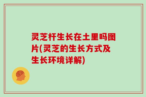 灵芝杆生长在土里吗图片(灵芝的生长方式及生长环境详解)