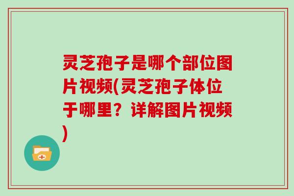 灵芝孢子是哪个部位图片视频(灵芝孢子体位于哪里？详解图片视频)