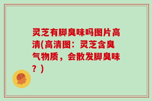 灵芝有脚臭味吗图片高清(高清图：灵芝含臭气物质，会散发脚臭味？)