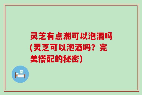 灵芝有点潮可以泡酒吗(灵芝可以泡酒吗？完美搭配的秘密)