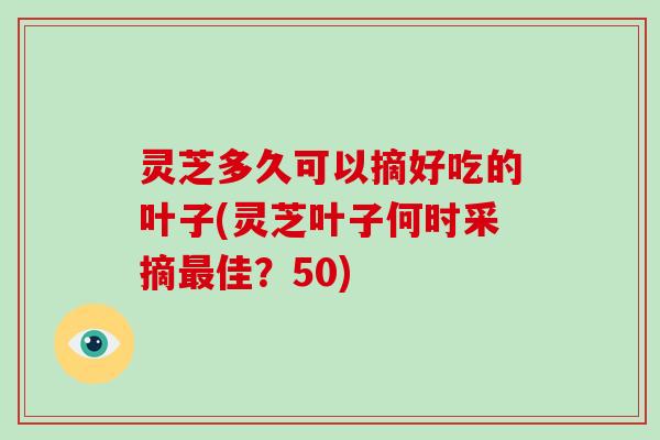 灵芝多久可以摘好吃的叶子(灵芝叶子何时采摘佳？50)