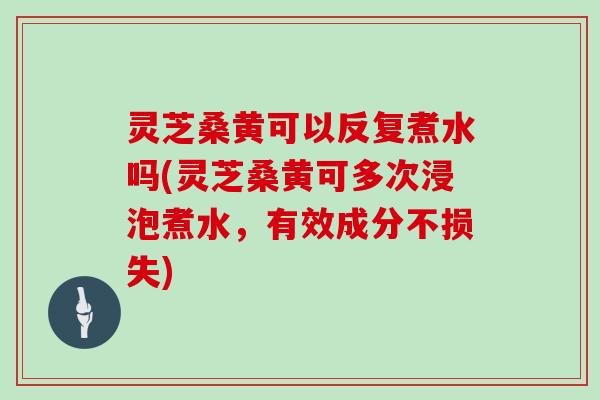 灵芝桑黄可以反复煮水吗(灵芝桑黄可多次浸泡煮水，有效成分不损失)