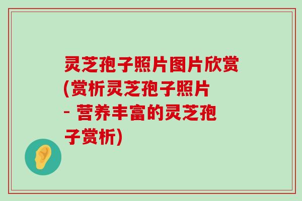 灵芝孢子照片图片欣赏(赏析灵芝孢子照片 - 营养丰富的灵芝孢子赏析)