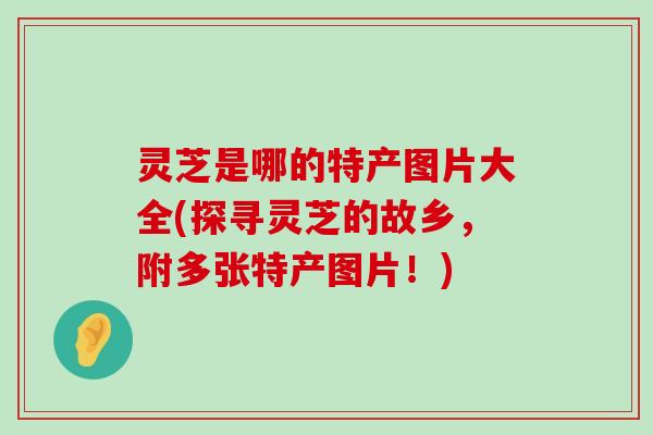 灵芝是哪的特产图片大全(探寻灵芝的故乡，附多张特产图片！)