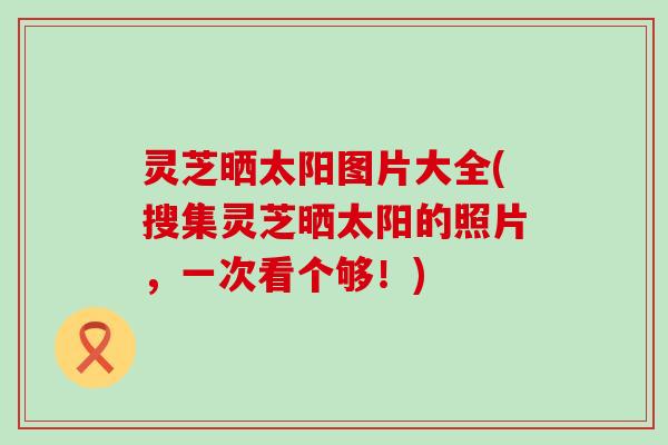 灵芝晒太阳图片大全(搜集灵芝晒太阳的照片，一次看个够！)