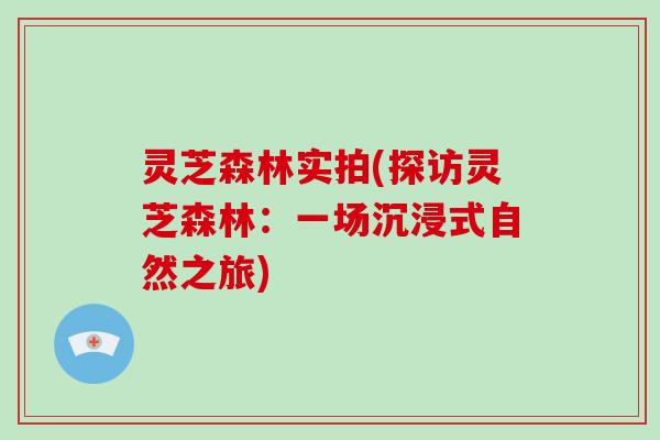 灵芝森林实拍(探访灵芝森林：一场沉浸式自然之旅)