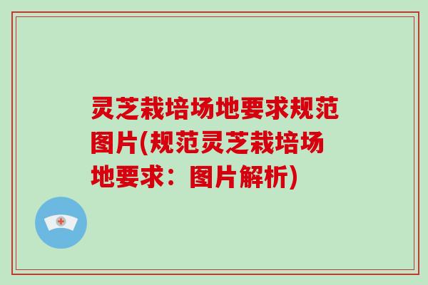 灵芝栽培场地要求规范图片(规范灵芝栽培场地要求：图片解析)