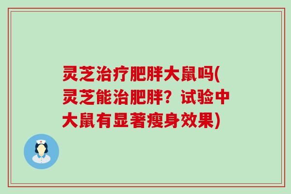 灵芝大鼠吗(灵芝能？试验中大鼠有显著瘦身效果)