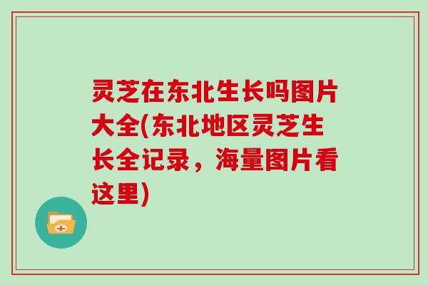 灵芝在东北生长吗图片大全(东北地区灵芝生长全记录，海量图片看这里)