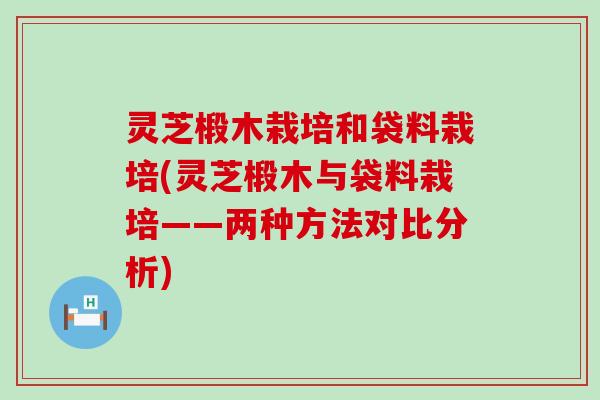 灵芝椴木栽培和袋料栽培(灵芝椴木与袋料栽培——两种方法对比分析)