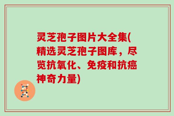 灵芝孢子图片大全集(精选灵芝孢子图库，尽览、免疫和抗神奇力量)