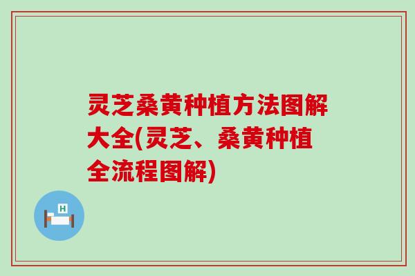 灵芝桑黄种植方法图解大全(灵芝、桑黄种植全流程图解)