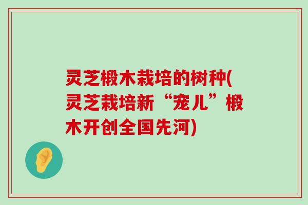 灵芝椴木栽培的树种(灵芝栽培新“宠儿”椴木开创全国先河)