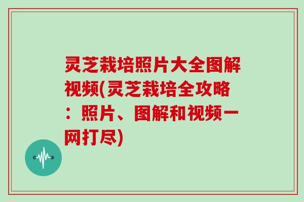 灵芝栽培照片大全图解视频(灵芝栽培全攻略：照片、图解和视频一网打尽)