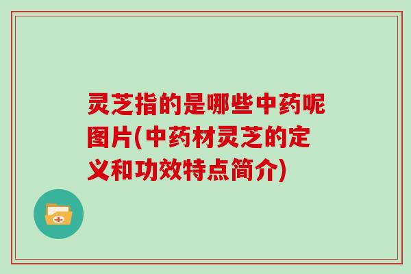 灵芝指的是哪些呢图片(材灵芝的定义和功效特点简介)