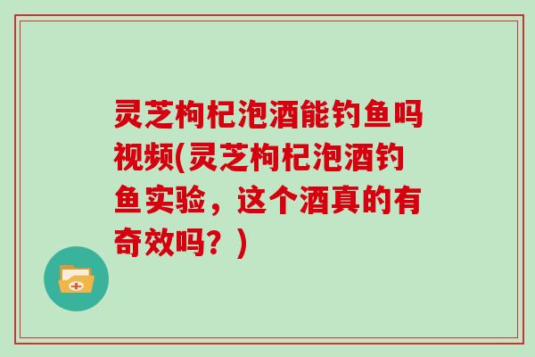 灵芝枸杞泡酒能钓鱼吗视频(灵芝枸杞泡酒钓鱼实验，这个酒真的有奇效吗？)