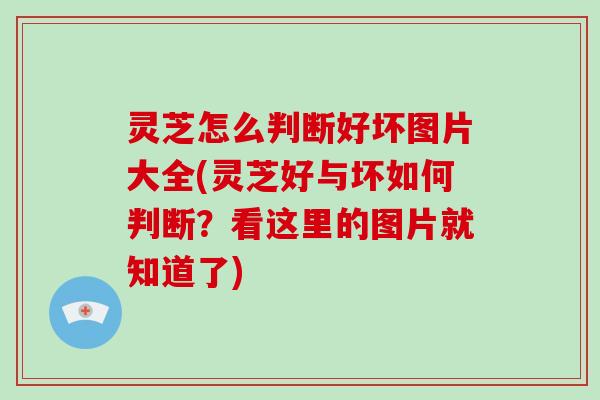 灵芝怎么判断好坏图片大全(灵芝好与坏如何判断？看这里的图片就知道了)