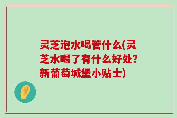 灵芝泡水喝管什么(灵芝水喝了有什么好处？新葡萄城堡小贴士)