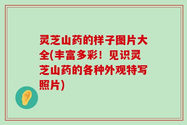 灵芝山药的样子图片大全(丰富多彩！见识灵芝山药的各种外观特写照片)