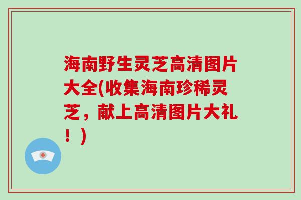 海南野生灵芝高清图片大全(收集海南珍稀灵芝，献上高清图片大礼！)