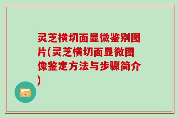 灵芝横切面显微鉴别图片(灵芝横切面显微图像鉴定方法与步骤简介)