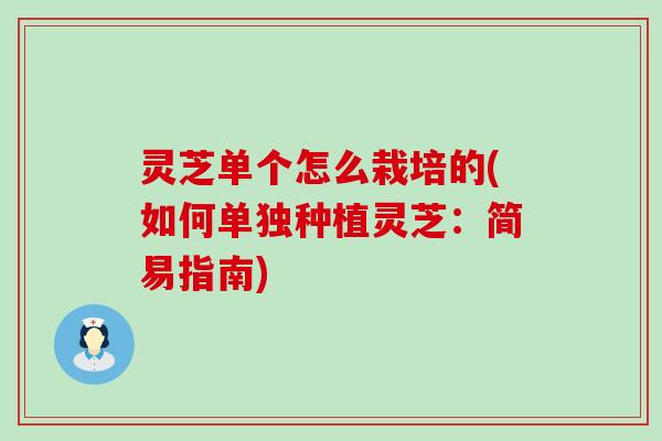 灵芝单个怎么栽培的(如何单独种植灵芝：简易指南)