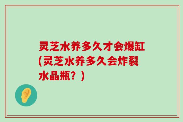 灵芝水养多久才会爆缸(灵芝水养多久会炸裂水晶瓶？)