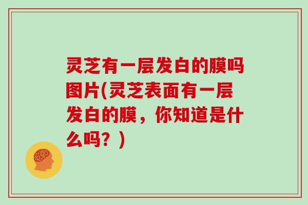 灵芝有一层发白的膜吗图片(灵芝表面有一层发白的膜，你知道是什么吗？)