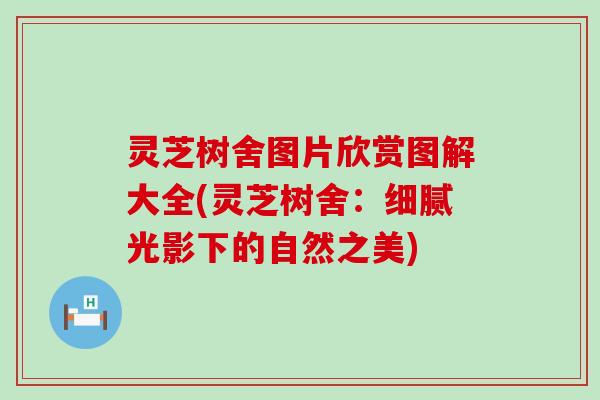 灵芝树舍图片欣赏图解大全(灵芝树舍：细腻光影下的自然之美)