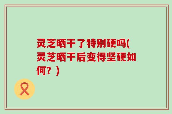 灵芝晒干了特别硬吗(灵芝晒干后变得坚硬如何？)