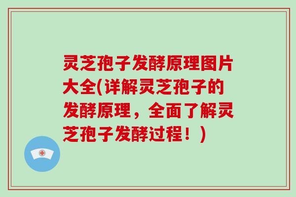 灵芝孢子发酵原理图片大全(详解灵芝孢子的发酵原理，全面了解灵芝孢子发酵过程！)