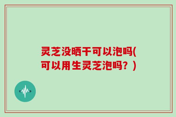 灵芝没晒干可以泡吗(可以用生灵芝泡吗？)