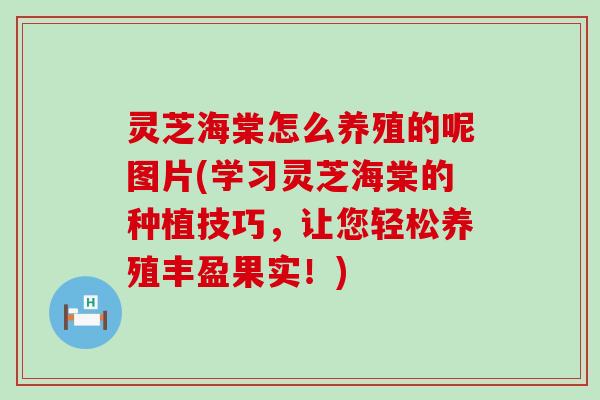 灵芝海棠怎么养殖的呢图片(学习灵芝海棠的种植技巧，让您轻松养殖丰盈果实！)