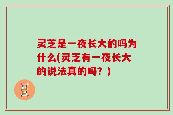 灵芝是一夜长大的吗为什么(灵芝有一夜长大的说法真的吗？)