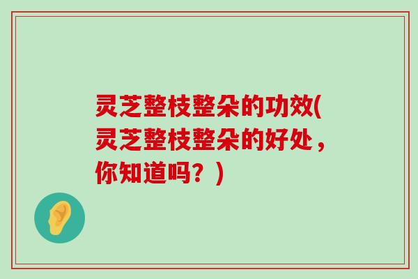 灵芝整枝整朵的功效(灵芝整枝整朵的好处，你知道吗？)