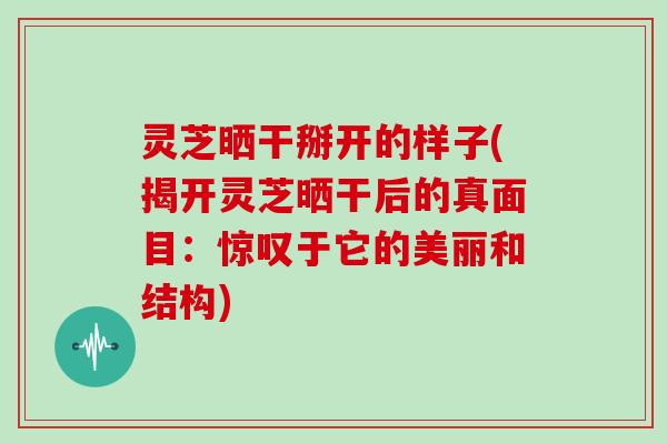 灵芝晒干掰开的样子(揭开灵芝晒干后的真面目：惊叹于它的美丽和结构)