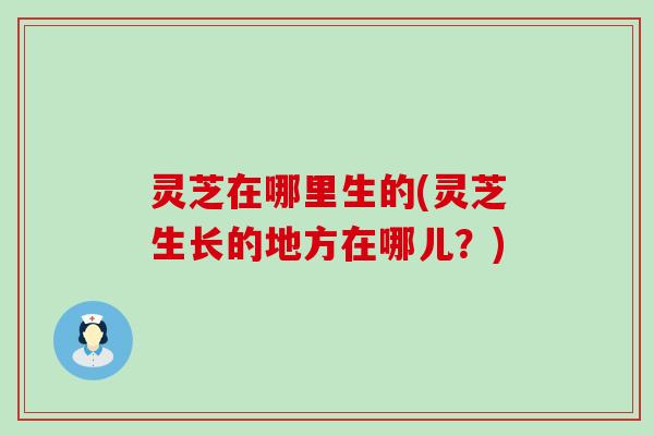 灵芝在哪里生的(灵芝生长的地方在哪儿？)