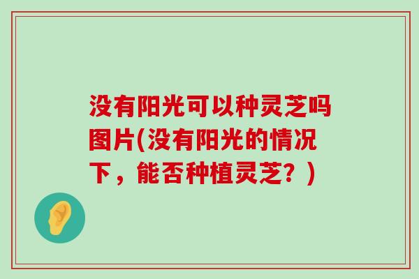 没有阳光可以种灵芝吗图片(没有阳光的情况下，能否种植灵芝？)