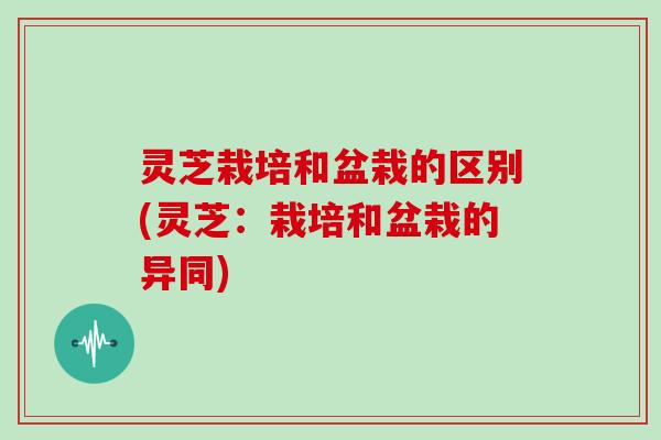 灵芝栽培和盆栽的区别(灵芝：栽培和盆栽的异同)