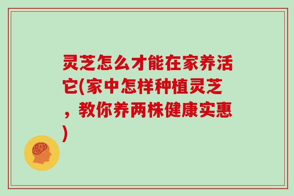 灵芝怎么才能在家养活它(家中怎样种植灵芝，教你养两株健康实惠)