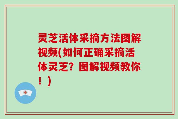 灵芝活体采摘方法图解视频(如何正确采摘活体灵芝？图解视频教你！)