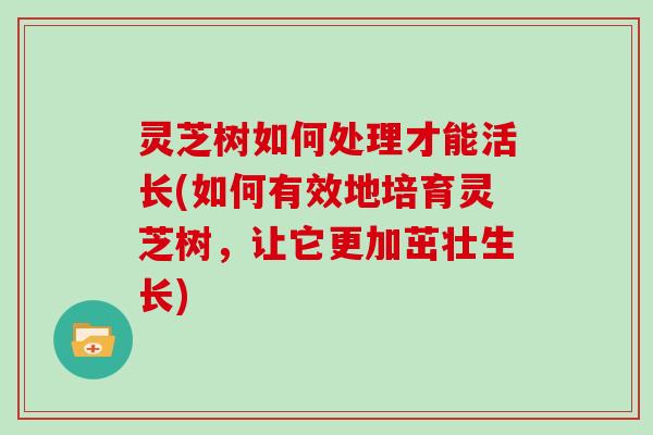 灵芝树如何处理才能活长(如何有效地培育灵芝树，让它更加茁壮生长)